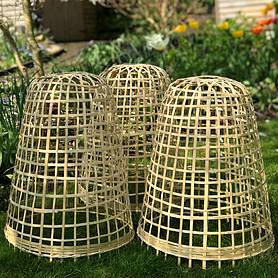 Bamboo Bell Cloche & Garden Plant Protection Cover - Medium